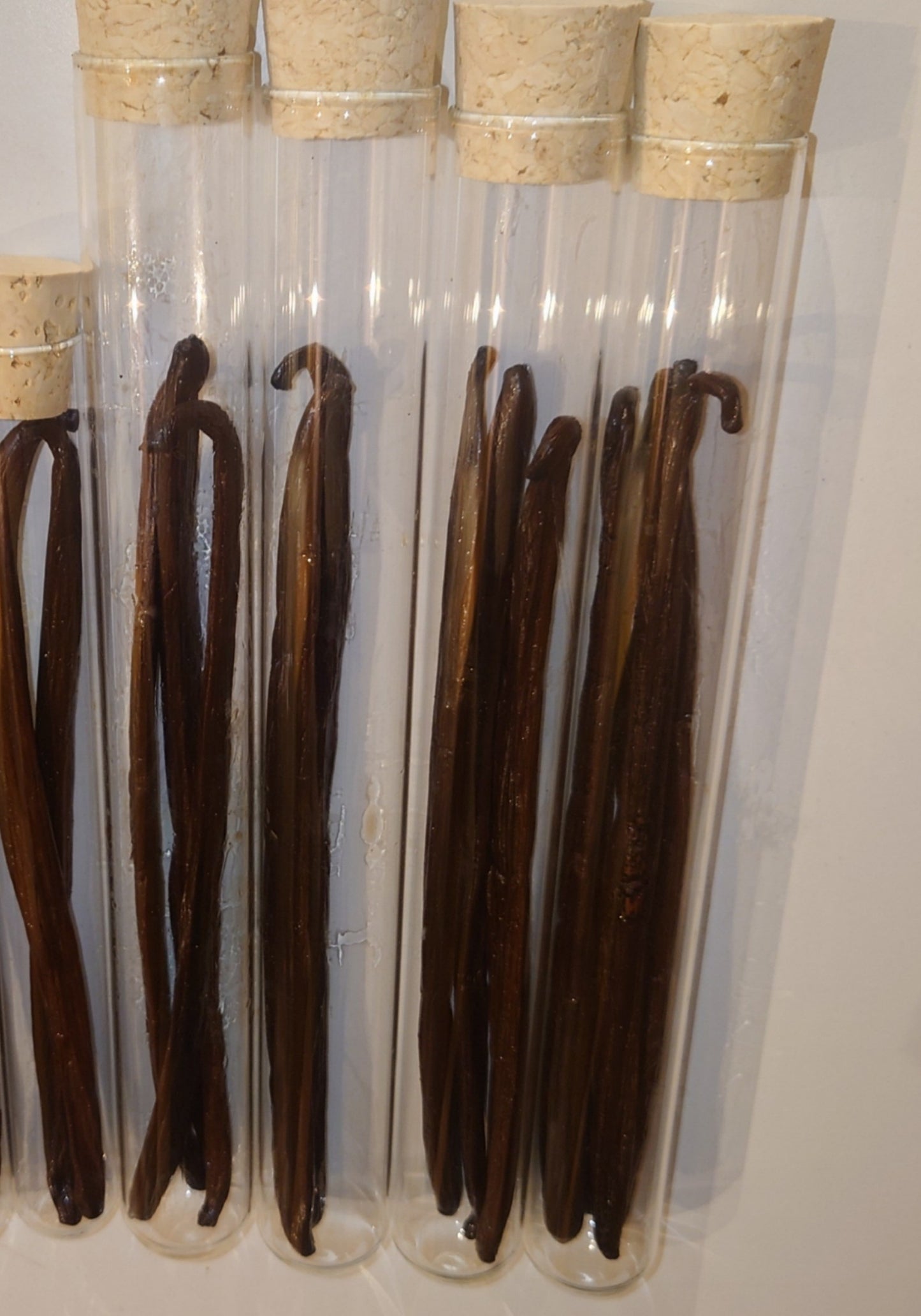 Vanilleschoten XL, 20cm